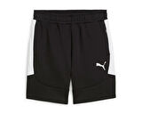 Puma Team Evostripe Shorts Erkek Futbol Şortu 65995103 Siyah