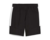 Puma Team Evostripe Shorts Erkek Futbol Şortu 65995103 Siyah