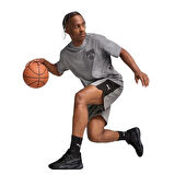 Posterize Erkek Gri Basketbol T-Shirt 63049902