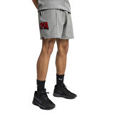 Rival Rage Tech Erkek Gri Basketbol Şortu 68545102