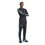 Adidas Erkek Eşofman Alt Mer Dna Pnt M