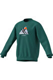 adidas  Erkek Yeşil  Sweatshirt SNOW CREW KE2319