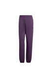 adidas  Kadın  Mor  Eşofman Altı W FI SL PT JX0445