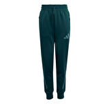 JW2430-C adidas J Z.n.e. Pt &amp;Ccedil;ocuk Eşofman Altı Yeşil