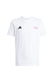 adidas Çocuk   T-shirt J MRVL SM GFX T JM0819