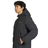 MT CW GOOSE J