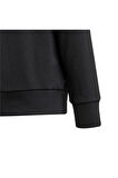 adidas Çocuk   Sweatshirt MER GR HOOD Y JZ8904