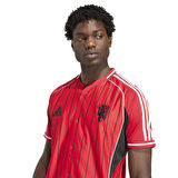 Adidas Erkek Manchester United Forma Jn2832