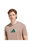 adidas Erkek   T-shirt M TR CAT G T JM8977