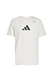 adidas Erkek   T-shirt M TR CAT G T JM8976