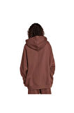 adidas Kadın  Kahverengi  Sweatshirt ESS LIN HOODIE JW1027