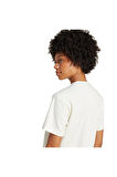 adidas Kadın  Beyaz  T-shirt ESS WR TEE JV7462