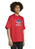 adidas Baskılı Kırmızı Erkek Çocuk T-Shirt JV8556 TEE