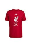 adidas Erkek  Kırmızı  T-shirt LFC DNA GR TEE JW7894
