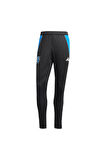 adidas Erkek  Siyah  Eşofman Altı JB TR PNT JX6302