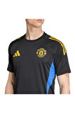 adidas Erkek  Siyah  Forma MUFC EU TR JSY JP3136
