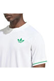 adidas Erkek  Beyaz  T-shirt FLFT TEE PRO JM1161
