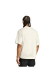 adidas Bej Erkek   T-shirt ADI365 HK T UF JM4246