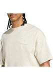 adidas Bej Erkek   T-shirt ADI365 HK T UF JM4246