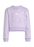 adidas Düz Açık Mor Kız Çocuk Eşofman Takımı JW2421 LG GLAM SET