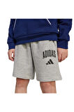 adidas Çocuk  Gri  Şort J CLGT FT SHO JW2380