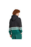 adidas  Erkek Siyah  Sweatshirt ARCHIVE HOODIE JY2798