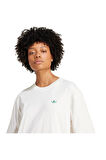 adidas Kadın  Beyaz  T-shirt TENNIS BYFR TEE JW0226