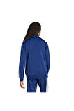 adidas Erkek  Mavi  Ceket M 3S TR CB TT JL8597