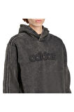 adidas Erkek  Siyah  Sweatshirt WSH HOODIE JY2792