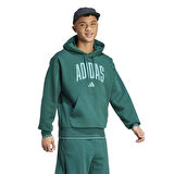 Adidas Erkek Hoodie Collegiate
