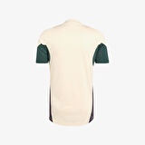 adidas Juventus Tiro 25 Competition Antrenman Erkek Bej Futbol Forması