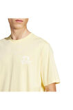 adidas Erkek  Sarı  T-shirt GRAPHIC TEE KC4958