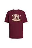 adidas  Erkek Bordo  T-shirt GRAPHIC LO SS T JX8175