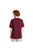 adidas  Erkek Bordo  T-shirt GRAPHIC LO SS T JX8175