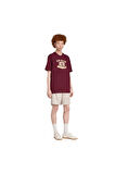 adidas  Erkek Bordo  T-shirt GRAPHIC LO SS T JX8175