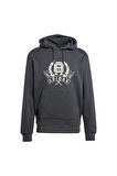adidas  Erkek  Gri  Sweatshirt GRAPHIC LO HD JX8186