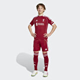 ADİDAS JV6441 LFC H SHO Y