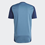 ADİDAS JJ1788 AFC TR JSY