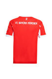 adidas Çocuk  Forma FCB H JSY Y (Bayern Munich) JN8525