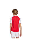 adidas  Çocuk  Forma AFC H JSY Y JI9533