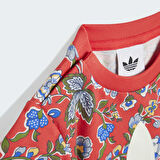 adidas JY3016 STS Çocuk Eşofman Takımı
