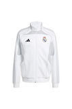 adidas Erkek   Ceket REAL UBP DKTT JN3069