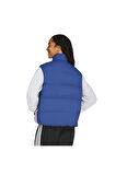 adidas Erkek  Mavi  Yelek ESS 3S PUF D V JM4080