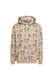 adidas Erkek  Kahverengi  Sweatshirt GRAPHIC LO HD JW1084