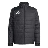 Adidas JZ9141 Ent26 L Erkek Spor Mont
