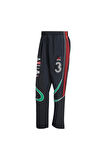 adidas Erkek  Siyah  Eşofman Altı GFX TRACK PANT KG2674