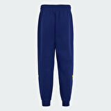 adidas KE7000 FB TRVL PANT M Erkek Fenerbahçe Basketbol Travel Eşofman Altı