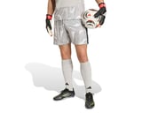 Adidas T26 C Gk Sho M Erkek Kaleci Şortu KC5350 Gri