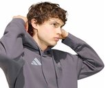 Adidas AUDI DR HD M Erkek Günlük Sweatshirt KT1725 Gri