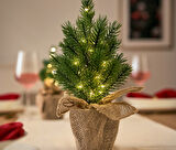 LED Çam Ağacı, Orta